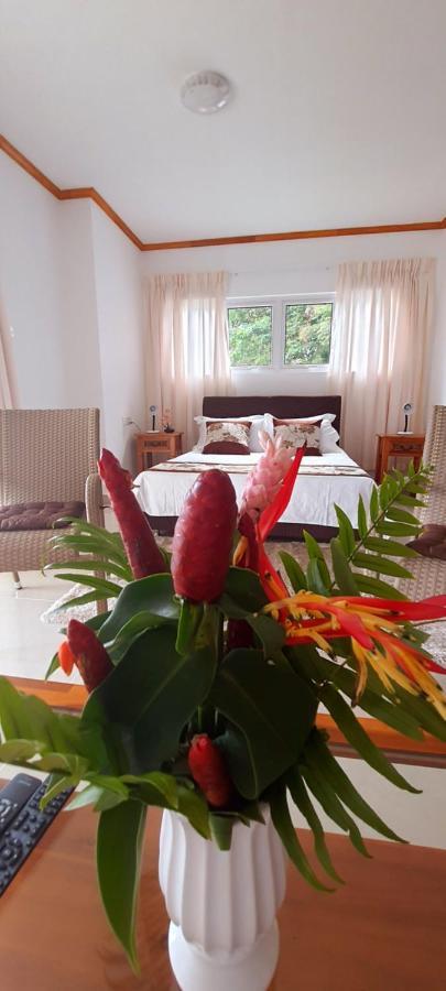 Le Chant De Merle Self -Catering Studios And Apartments Mahe Island Luaran gambar
