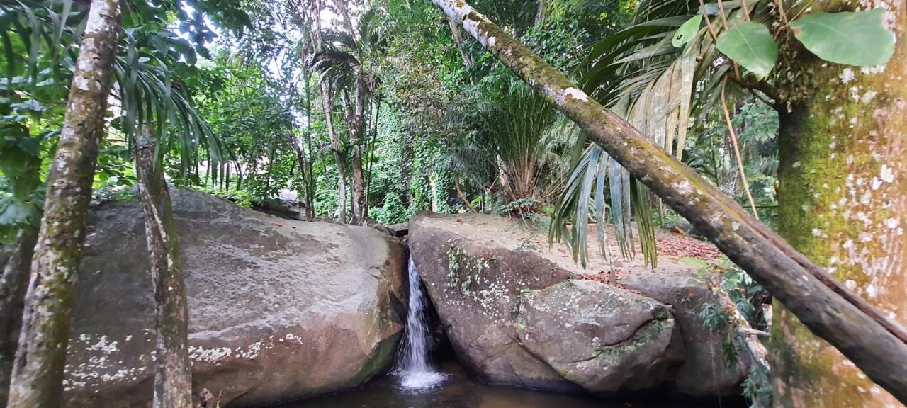 Le Chant De Merle Self -Catering Studios And Apartments Mahe Island Luaran gambar