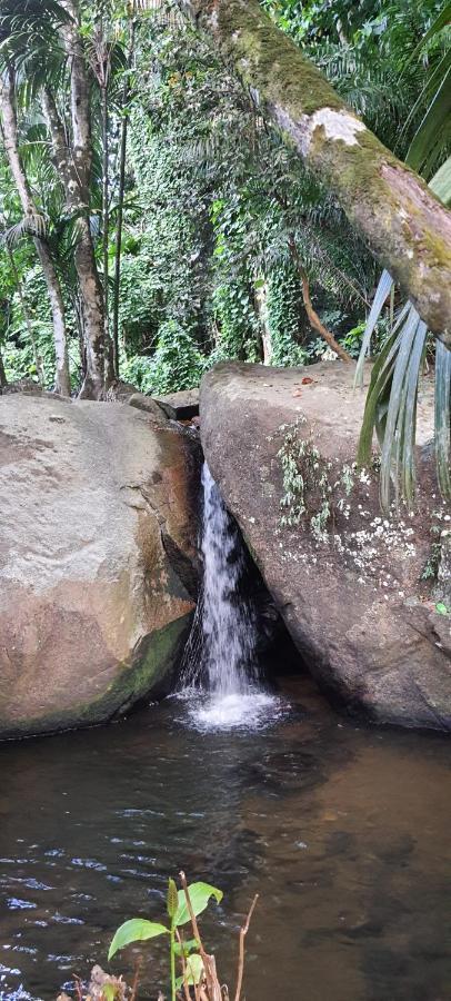 Le Chant De Merle Self -Catering Studios And Apartments Mahe Island Luaran gambar