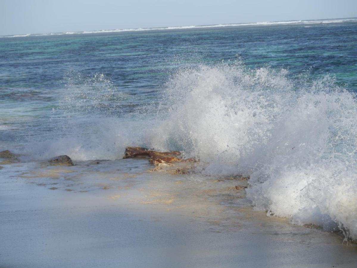 Le Chant De Merle Self -Catering Studios And Apartments Mahe Island Luaran gambar