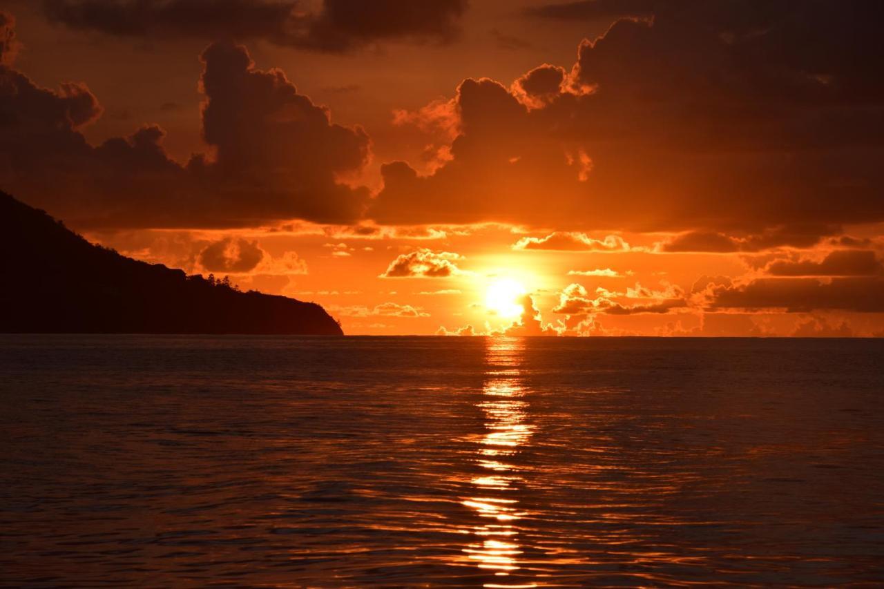 Le Chant De Merle Self -Catering Studios And Apartments Mahe Island Luaran gambar